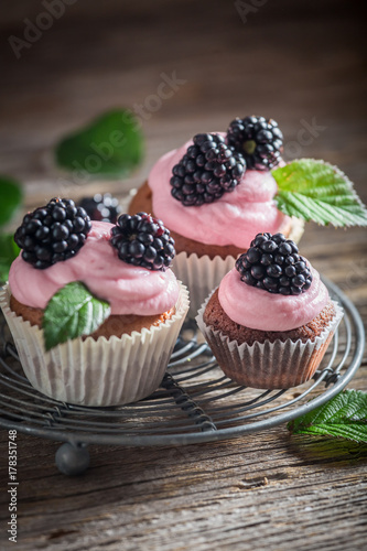 Homemade blackberry cupcake with berries and pink cream