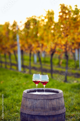 Two glasses of red wine in autumn vineyard