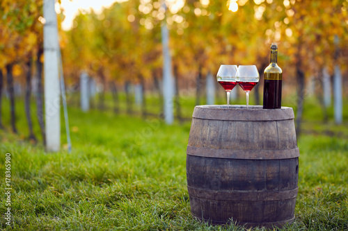 Two glasses of red wine on a wooden barrel in an autumn vineyard
