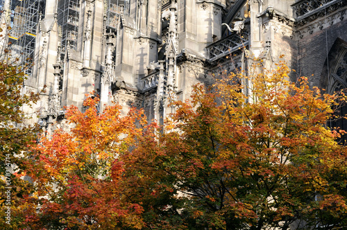 Herbstlaub vor Fassade des Ulmer Münster