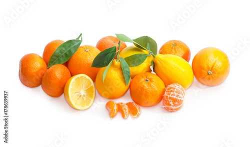 Freshly harvested different citrus on a white background