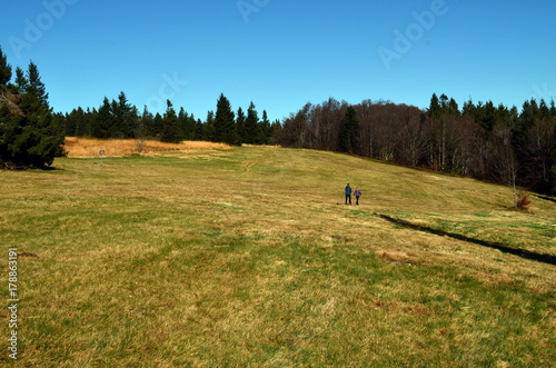Schwarzwaldspaziergang
