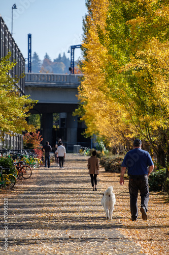 Fall colors and golden aspen trees along a bike path and water with bridges