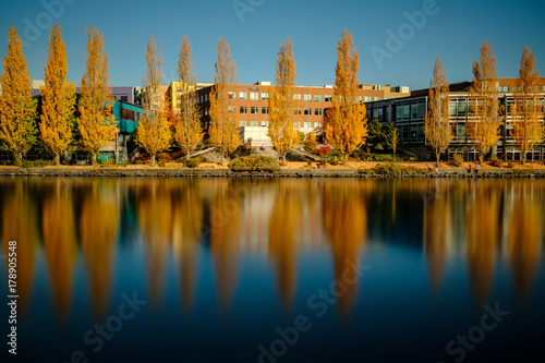 Fall colors and golden aspen trees along a bike path and water with bridges