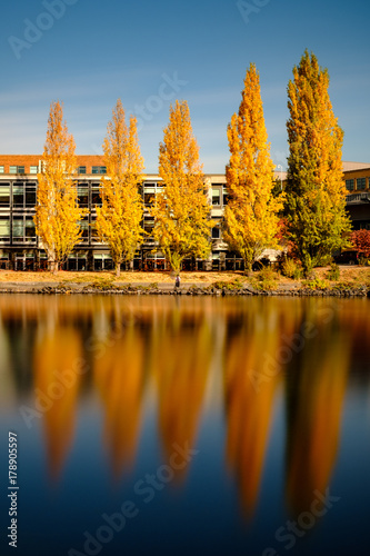 Fall colors and golden aspen trees along a bike path and water with bridges