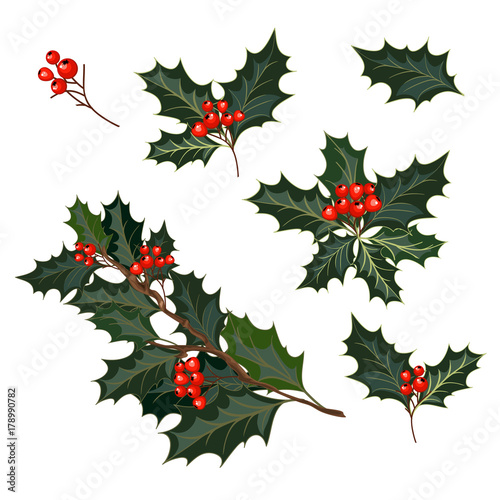 christmas decorations with holly and red berries
