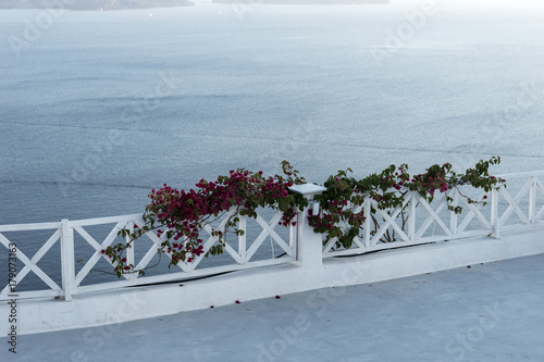 Terrasse mit Blumen am Zaun