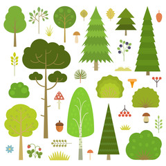 Set of flat vector forest elements: trees, spruce, pine, grass, mushrooms, moss, berries and bushes isolated on transparent background.