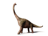 Brachiosaurus altithorax from the Late Jurassic (3d illustration isolated on white background)