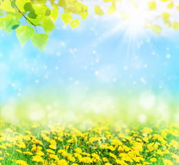 Beautiful spring pattern for design with blooming dandelions and birch leaves. Natural background.