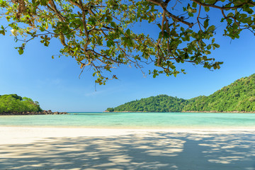 Branches and leaf on blue sea background. Tropical beach