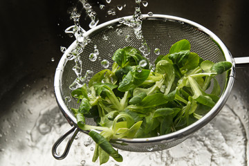 fresh green corn salad in a metal cullender among many drops of water, washing and preparing healthy food