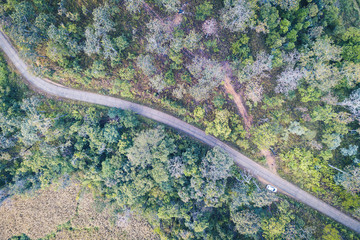 aerial view over Asphalt roads between forests in mountain