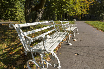 Autumn park in Warsaw - Wilanow. Fancy bench.