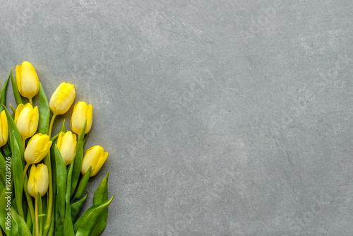 Plakat Żółci tulipany, wiosny Easter tło lub rocznicowy prezent dla matki dnia lub karta dla kobieta dnia przy 8 marszem ,.
