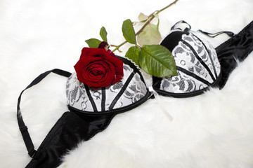sexy black white lingerie with a red rose on a white fur - valentines day - surprise verführung