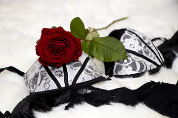 sexy black lingerie with a red rose on a white fur - valentines day - surprise verführung