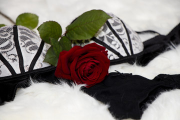 sexy black white lingerie with a red rose on a white fur - valentines day - surprise verführung
