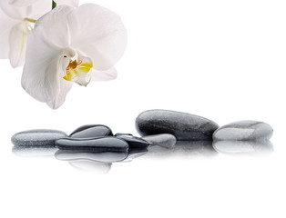 spa de orquídea blanca con piedras
