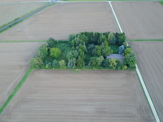 Frankfurt von oben
