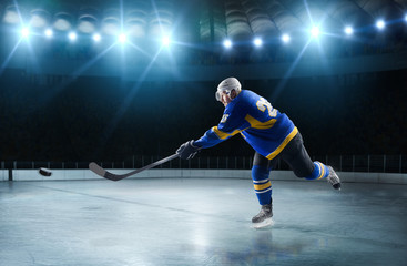 Ice hockey players on the grand ice arena