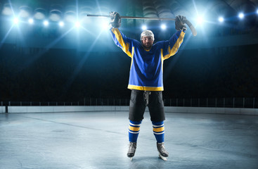 Ice hockey players on the grand ice arena