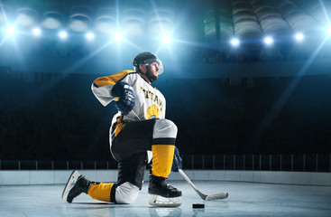 Ice hockey players on the grand ice arena