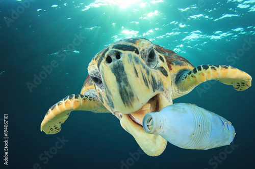 Plakat Problem zanieczyszczenia z tworzyw sztucznych - żółw morski jedzenie plastikowej butelki w oceanie