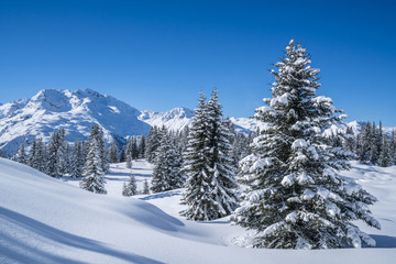 Winterpanorama - Verschneite Winterlandschaft