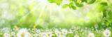 Frühling 427