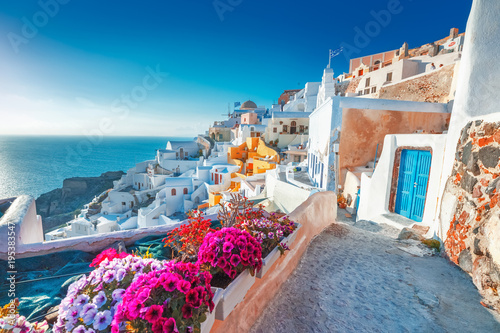 Zdjęcie XXL Santorini, Grecja. Picturesq widok tradycyjni cycladic Santorini domy na małej ulicie z kwiatami w przedpolu. Lokalizacja: wieś Oia, Santorini, Grecja. Wakacje w tle.