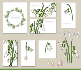 Snowdrop set with visitcards and greeting templates