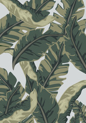 Summer tropical background. Palm and banana leaves, datura flowers
