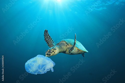 Zdjęcie XXL Problem zanieczyszczenia tworzyw sztucznych w oceanach. Żółw morski je plastikową torbę
