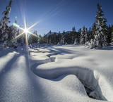 sunlit winter alpine meadow