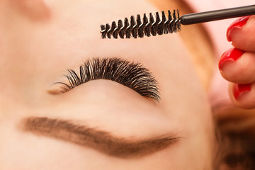 Eyelash Extension Procedure. Woman Eye with Long Eyelashes. Close up, selective focus.