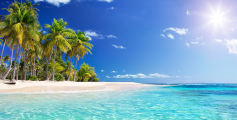 Palm Beach In Tropical Paradise - Guadalupe Island -  Caribbean

