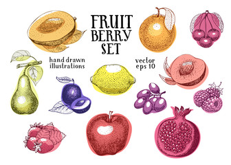 Fruits hand drawn vector illustration set. Retro engraved style illustrations. Can be use for menu, label, packaging, farm market products.