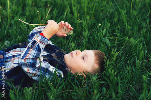 Fotoobraz na płótnie Chłopiec z dandelions. Dziecko bawić się kłamać na trawie z dandelion kwiatem