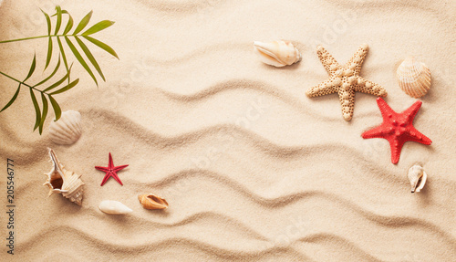Sea shells on sand. Summer beach background. Top view © Maksim Pasko