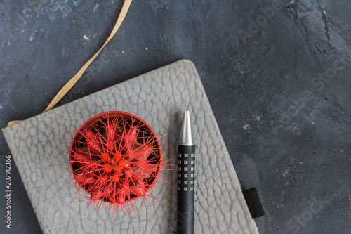 Фото: red, cactus, grey, black, Office, notebook, background, top view, business, desk. pen, life style, red, cactus, grey, black, Office, notebook, background, top view, business, desk. pen, life style,