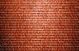 Realistic brick wall. Brick texture. Vector.