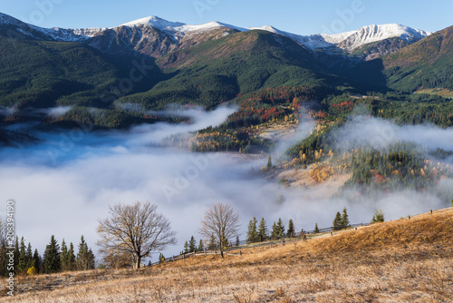 Фото: Autumn landscape with morning mist in the mountains Autumn landscape with morning mist in the mountains