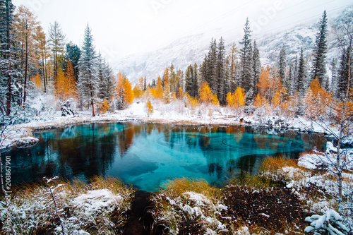 Фото: Fantastic blue geyser lake in the autumn forest. Altai, Russia. Fantastic blue geyser lake in the autumn forest. Altai, Russia.