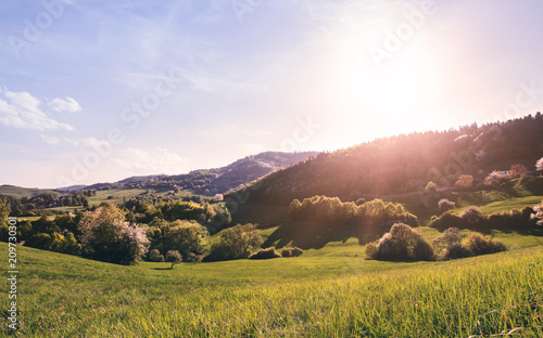 Фото: Panoramic view of landscape of meadows and woodland. Sunset in nature. Panoramic view of landscape of meadows and woodland. Sunset in nature.