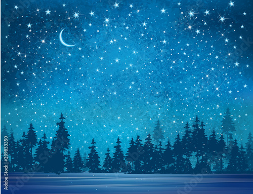 Vector winter wonderland background. Starry night sky and forest background. © rvika