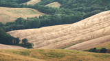 Campi elisi