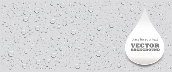 water drops on grey background and place for your text