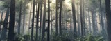 Trees in the fog. The smoke in the forest in the morning. A misty morning among the trees. 3D rendering