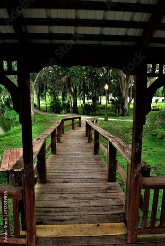 Foto obraz na płótnie canvas jednoczęściowy - Piękny sceniczny park w środkowej Florida